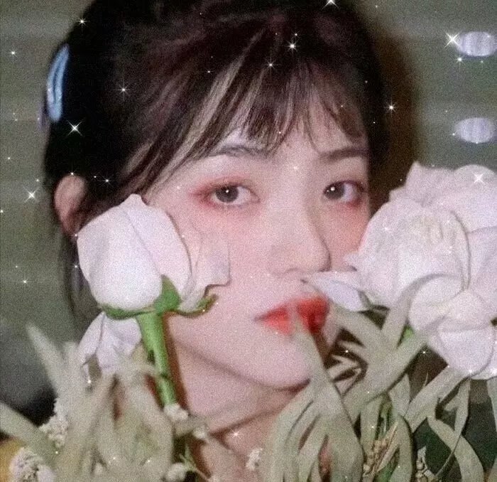 鸟姐妹的反差生活第二季